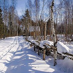 фото "Я из лесу вышел, был март..."