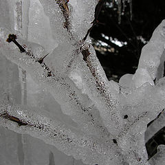 photo "Ice 2"