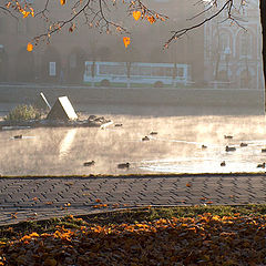 photo "Morgendunst &#252;ber dem Teich // Morning exhalation over the pond"