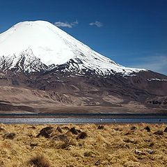 фото "Parinacota peak & Chungara lake"