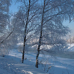 photo "Snow, frost, river"