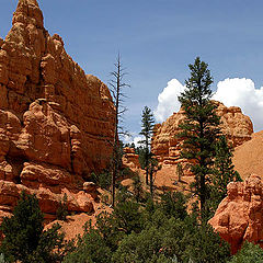 photo "The Rock gods of Utah"