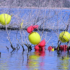 photo "Primary Colors"