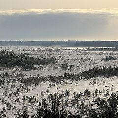 photo "Snow to come (over the swamp of Torro)"