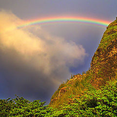 photo "Hawaiian Rainbow"