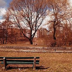 photo "the branch"