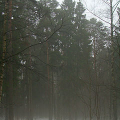 photo "The fog (or snow thaws)"