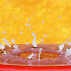 photo "Milk drops"