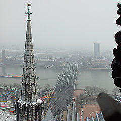 photo "Snow is gone. Cologne remains"