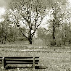 photo "the bench bw"