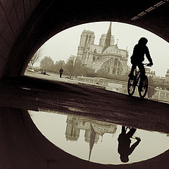 фото "Notre Dame*"