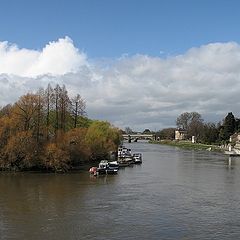 photo "Thames in Richmond"