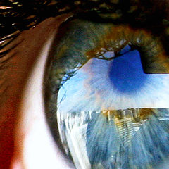 photo "Eye"