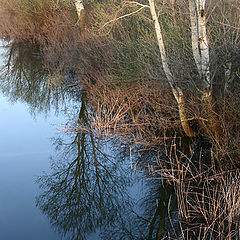 photo "Begej River"