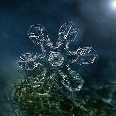 photo "SnowFlake"