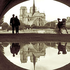 фото "Notre Dame**"