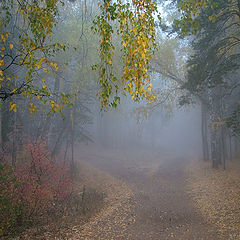 фото "дворик"