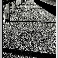 фото "Road Side Shadows"