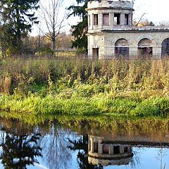 photo "Reflection"