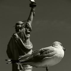 photo "the face of liberty"