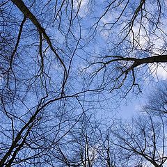 фото "Vertigo"