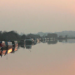 photo "Slimbridge Sunset"