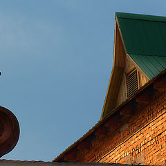 photo "Solar baths for a snail"