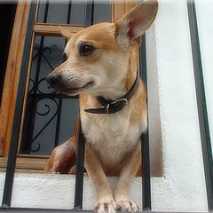 album "Just photo"