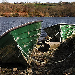 photo "All died up - stranded"