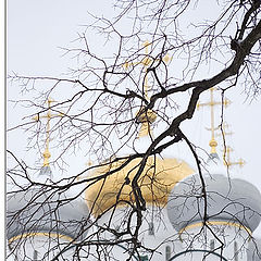 photo "Domes of Smolenskogo cathedral"