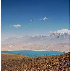 фото "Launa Miscanti, Chile"