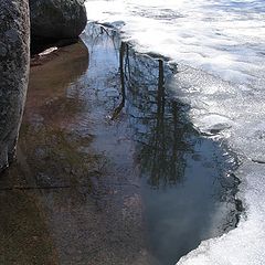 photo "spring of water"