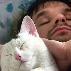 photo "Man & cat"