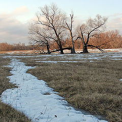 photo "Cold April. MiddleEarth"