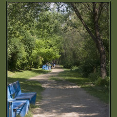 photo "Avenue of a shady garden..."