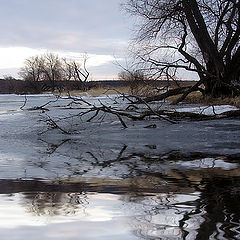 photo "Reflections. The Middle Earth"