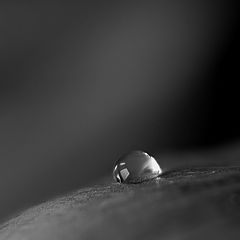 photo "One drop"