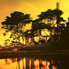 photo "The paradise in green and red..."