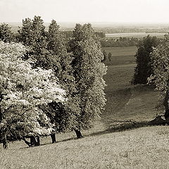 photo "Colors of autumn"