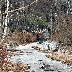 photo "In feature of Moscow"