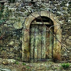 photo "Stone World"