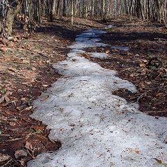 photo "Way of old winter"