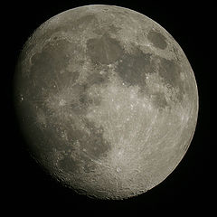 фото "Th moon"