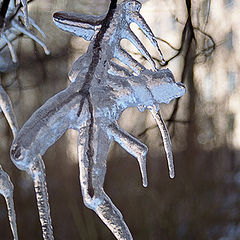 photo "The death of the winter"