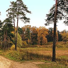 фото "Золото Осени..."