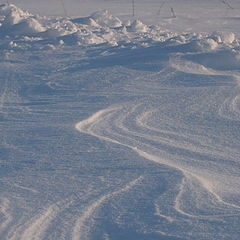 photo "Snow texture"