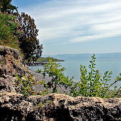 photo "Stones of the Lake Kineret"