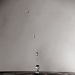 photo "Drops"