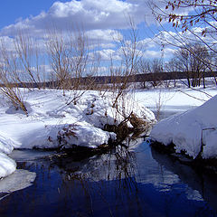 photo "Typical Spring"