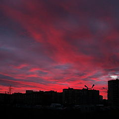 фото "Alarmy Sky"